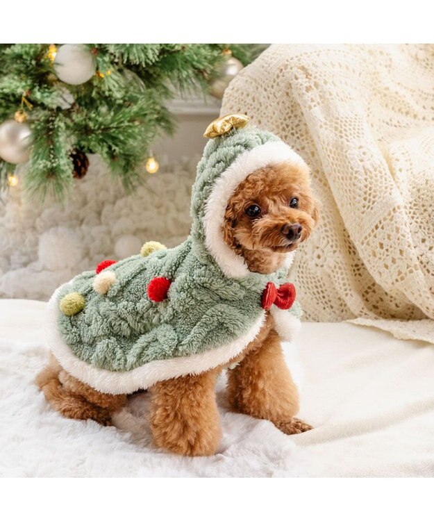 PET PARADISE ペットパラダイス ツリーポンチョ 2025 小型犬 グリーン