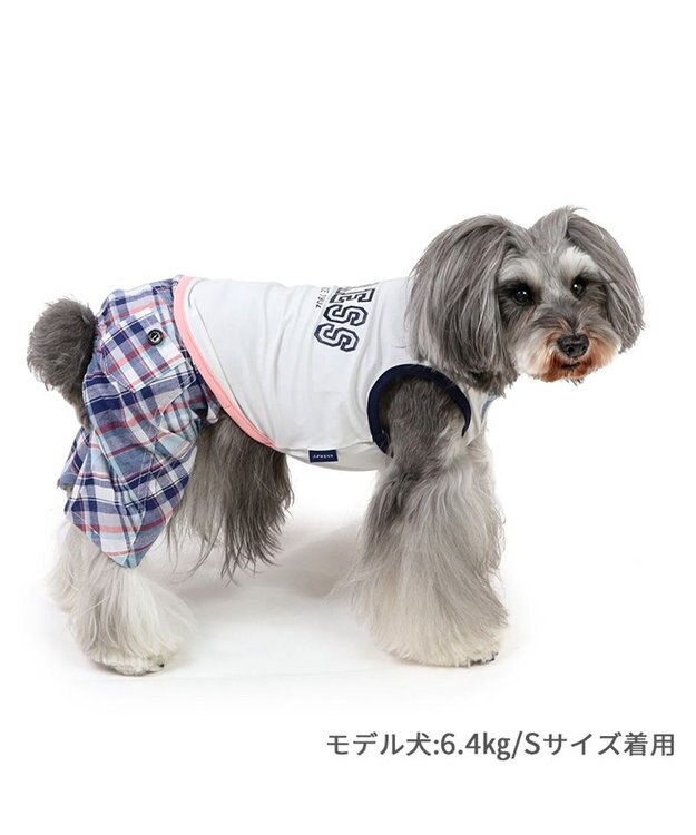 PET PARADISE J.PRESS クール 接触冷感 パンツつなぎ マドラスパンツ 小型犬 ホワイト