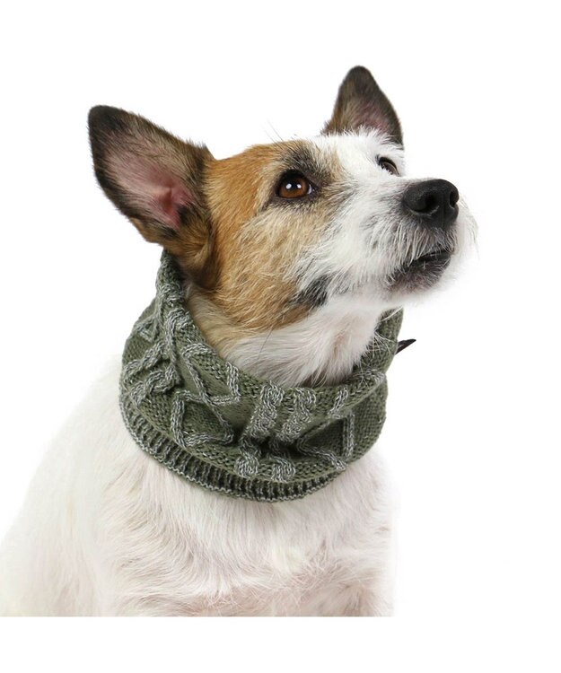 PET PARADISE ペットパラダイス 反射スヌード 《カーキー》 小型犬 カーキ