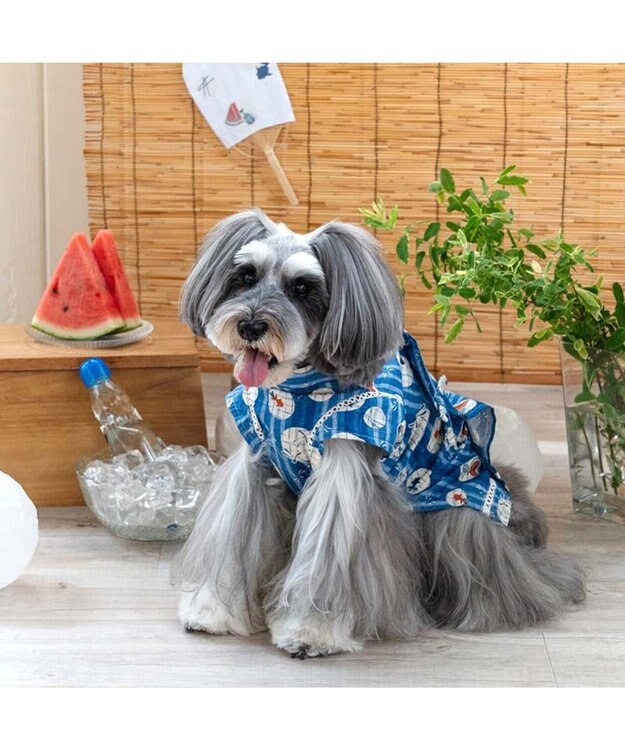 PET PARADISE ペットパラダイス 甚平 《しじら織り風》 小型犬 ブルー
