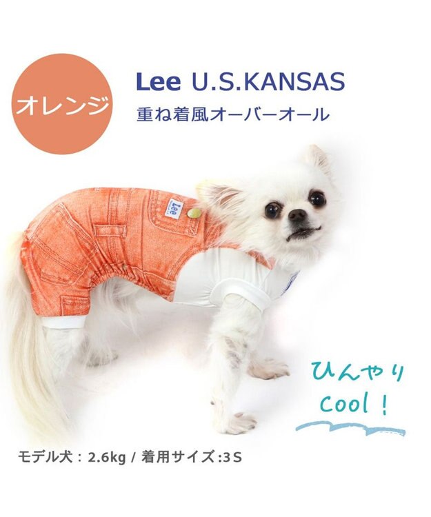 PET PARADISE Ｌｅｅ つなぎ風  ロンパース 【小型犬】《ブルー/オレンジ》クールマックスエコメイド オレンジ