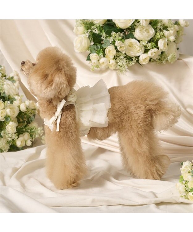 PET PARADISE cherircouture チュールビスチェ 小型犬 ホワイト
