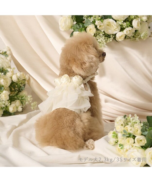 PET PARADISE cherircouture チュールビスチェ 小型犬 ホワイト
