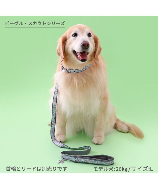 PET PARADISE スヌーピー 首輪 《 ビーグルスカウト》 Ｌ 大型犬 ビーグルスカウト