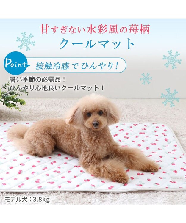 PET PARADISE 接触冷感 柔らか クールマットM《苺 ネイティブ 》 (90×60cm) 苺柄