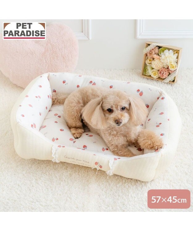 PET PARADISE ペットパラダイス カドラー 《花苺柄》 Ｍ ホワイト×レッド