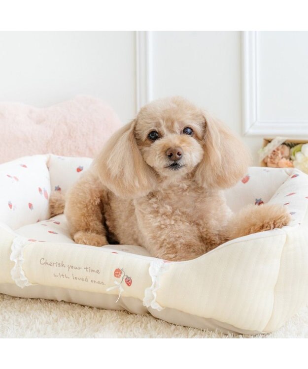 PET PARADISE ペットパラダイス カドラー 《花苺柄》 Ｍ ホワイト×レッド