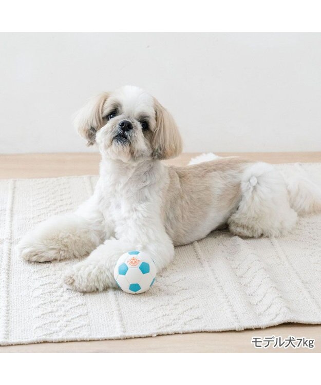 PET PARADISE ペットパラダイス サッカーボール 小 ホワイト