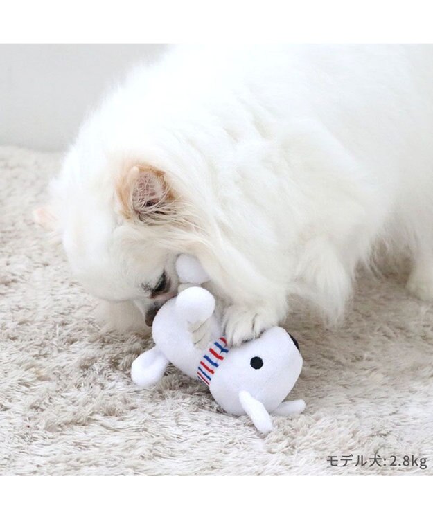 PET PARADISE リサとガスパール お座りトイ  トリコロール マフラー 《リサ》 小型犬 リサ