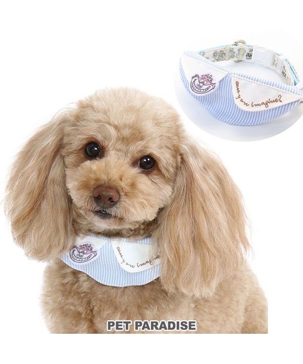 PET PARADISE 犬 首輪 ディズニー ふしぎの国のアリス花柄 首輪 〔３Ｓ〕 小型犬 おさんぽ おでかけ お出掛け おしゃれ オシャレ かわいい 水色