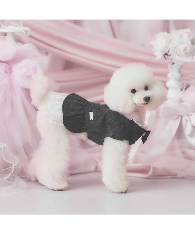 PET PARADISE cherircouture ジャケットワンピース 小型犬 ブラック