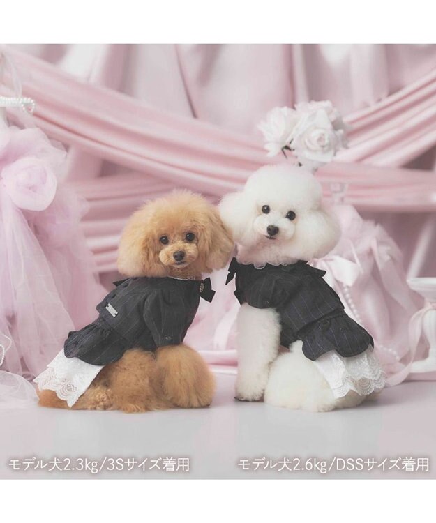 PET PARADISE cherircouture ジャケットワンピース 小型犬 ブラック