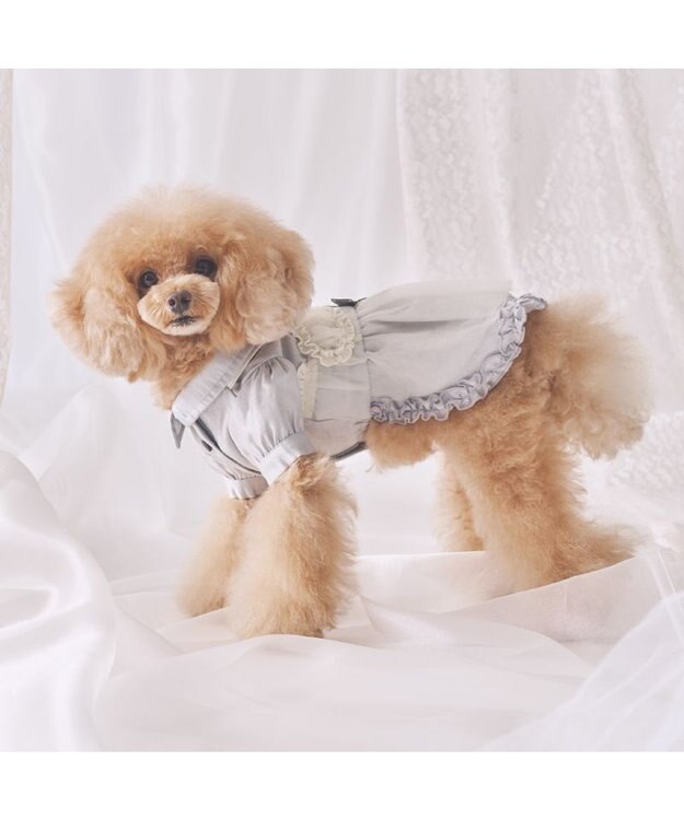 PET PARADISE cherircouture ドッキングワンピース 小型犬 グレー