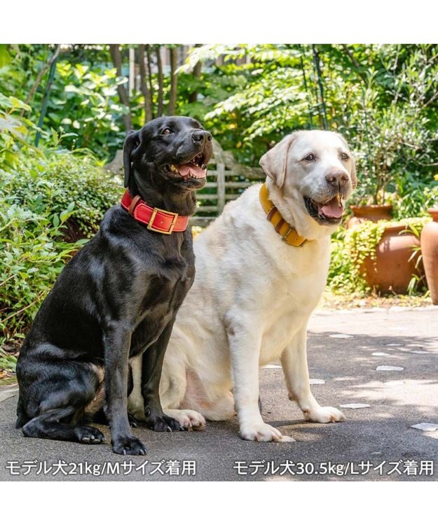 PET PARADISE ペットパラダイス ソフトレザー首輪 《ブルックレッド》 Ｌ ブルックレッド