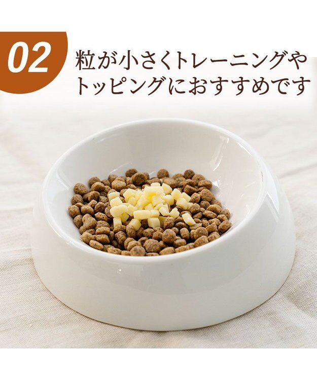 PET PARADISE ミニトリーツ チーズ 国産 -