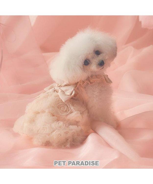 PET PARADISE cherircouture ローズチュールワンピース 《ピンク》 小型犬 ピンク