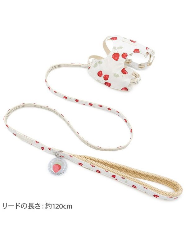 PET PARADISE ペットパラダイス スリム ハーネス＆リード 《苺総柄》 ４Ｓ /３Ｓ 小型犬 ホワイト