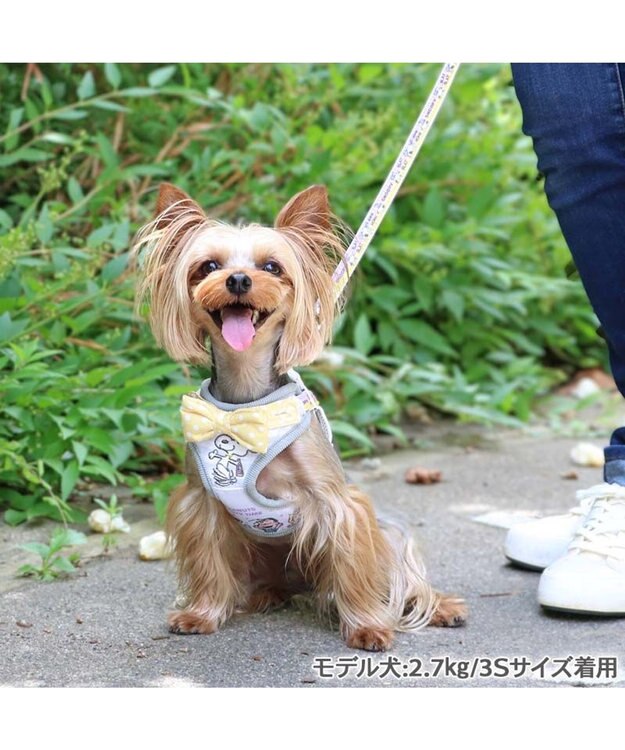 PET PARADISE スヌーピー リード&ハーネス 《パーティ柄》 3S 小型犬 パーティ柄