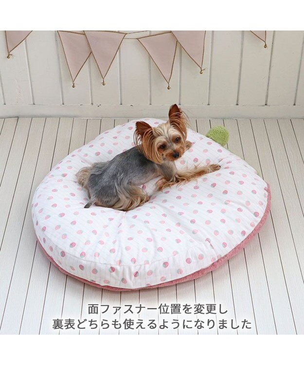 PET PARADISE ネット店限定 ペットパラダイス くすみ苺 クッション M ピンク