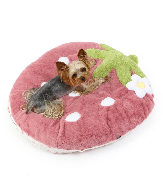 PET PARADISE ネット店限定 ペットパラダイス くすみ苺 クッション M ピンク
