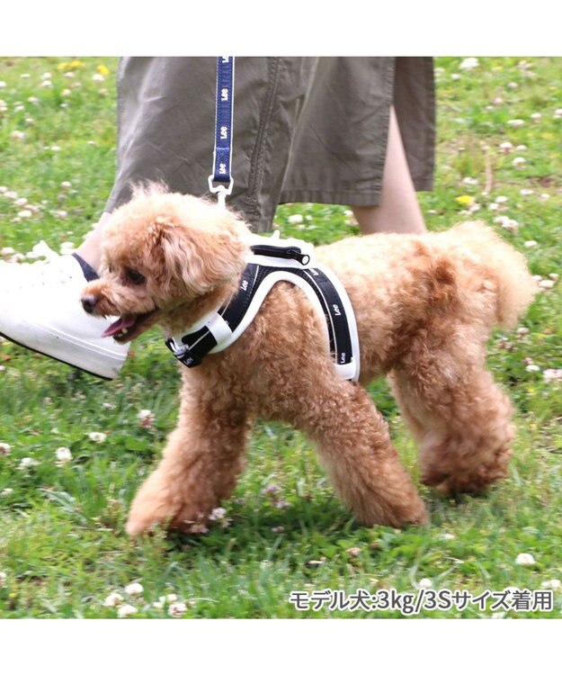 PET PARADISE Lee  ポケットハーネス ３Ｓ 小型犬 -