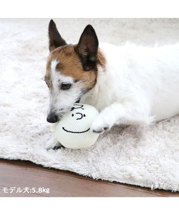 PET PARADISE スヌーピー  チャーリーブラウン デンタル フェイス トイ ベージュ