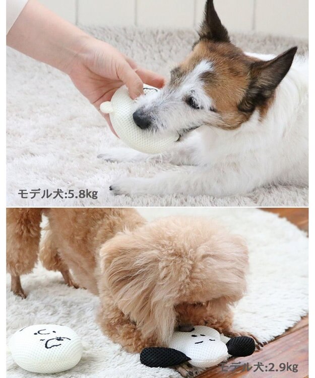 PET PARADISE スヌーピー  チャーリーブラウン デンタル フェイス トイ ベージュ