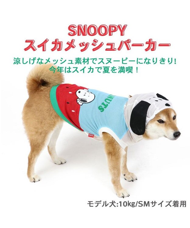 PET PARADISE 犬の服 春夏 スヌーピー スイカ柄 メッシュ パーカー【中型犬】 水色