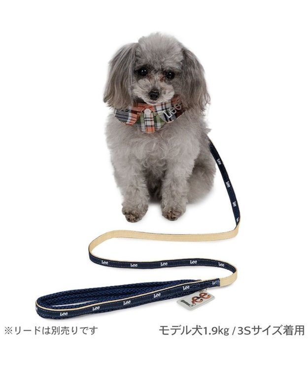 PET PARADISE Lee チェック襟付 首輪 Ｓ 小型犬 マドラスチェック