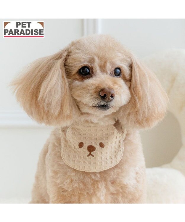 PET PARADISE ペットパラダイス くまさん スタイ 小型犬 モカ