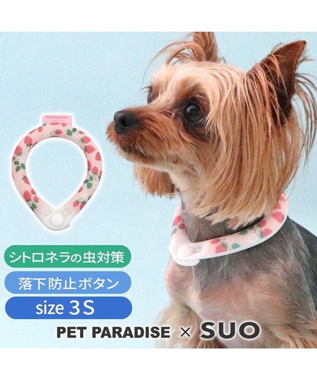 PET PARADISE ペットパラダイス 28℃クールリング SUO 《いちご》 〔３Ｓ〕 小型犬 いちご