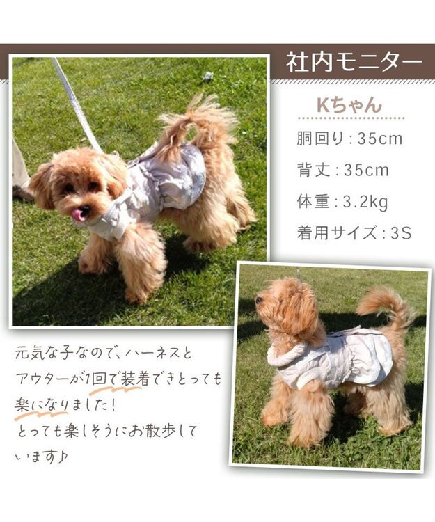 PET PARADISE ペットパラダイス くまちゃん アウターハーネス 小型犬 オフホワイト