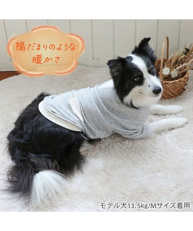 PET PARADISE ペットパラダイス ペティヒート 天竺 Tシャツ 《ニット柄》  中型犬 大型犬 ニット柄