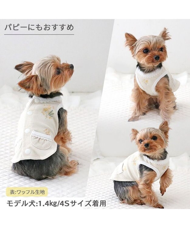 PET PARADISE ペットパラダイス やさしいベスト リバーシブル《ミモザ柄》 小型犬 ミモザ柄