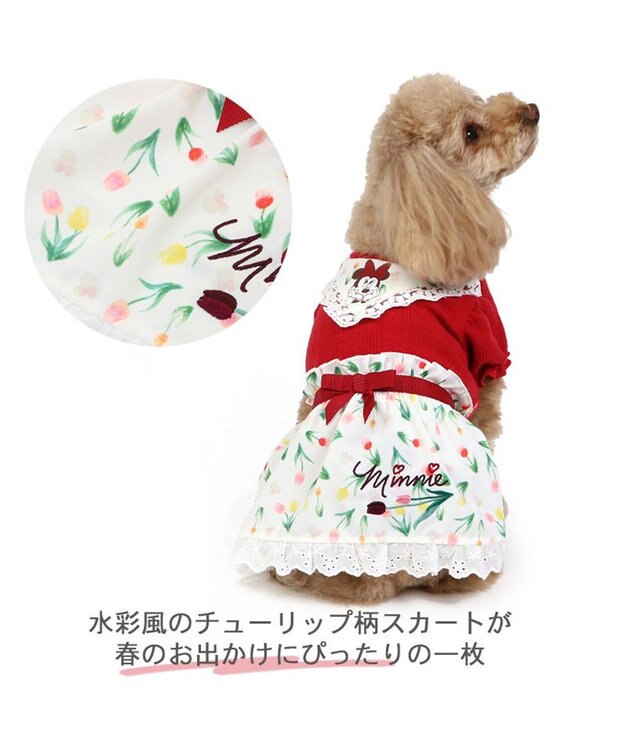 PET PARADISE 犬の服 犬 ディズニー ミニーマウス ワンピース 【小型犬】 チューリップ -