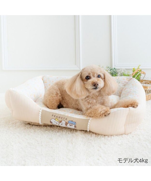PET PARADISE スヌーピー カドラー Ｍ 《のほほん柄》　 ライトベージュ