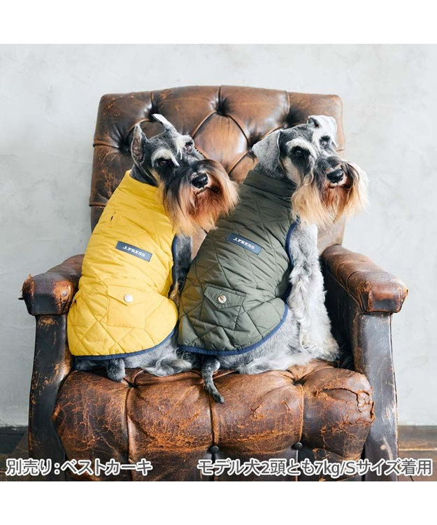 PET PARADISE J.PRESS ダイヤＳＴ 綿入ベスト 《イエロー》 小型犬 イエロー