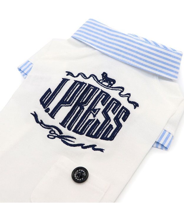 PET PARADISE J.PRESS スキッパーポロシャツ 小型犬 ホワイト