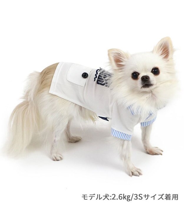 PET PARADISE J.PRESS スキッパーポロシャツ 小型犬 ホワイト