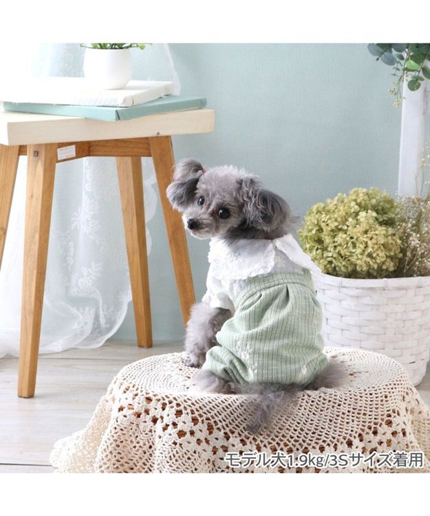 PET PARADISE ペットパラダイス ナチュラル パンツつなぎ 《小花 》 小型犬 グリーン