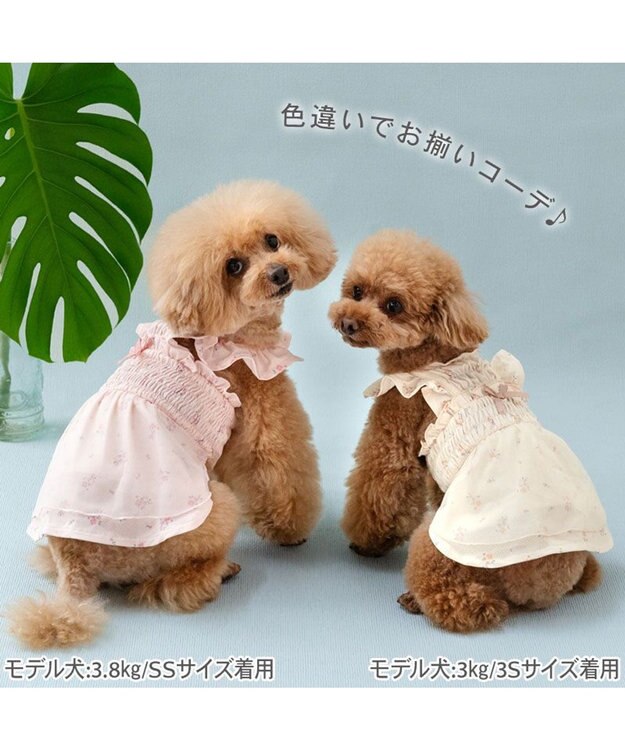 PET PARADISE ペットパラダイス エコメッシュ ワンピース《小花柄 イエロー》 小型犬 イエロー