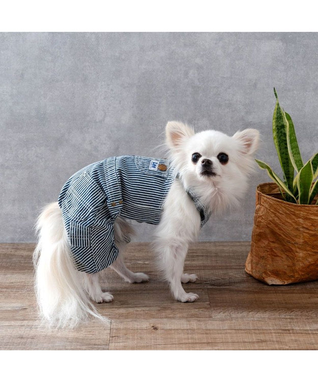 PET PARADISE Lee ヒッコリー オーバーオール  小型犬 ネイビー×ホワイト