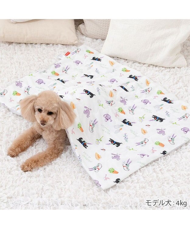 PET PARADISE リサとガスパール もちっと クール ブランケット ホワイト
