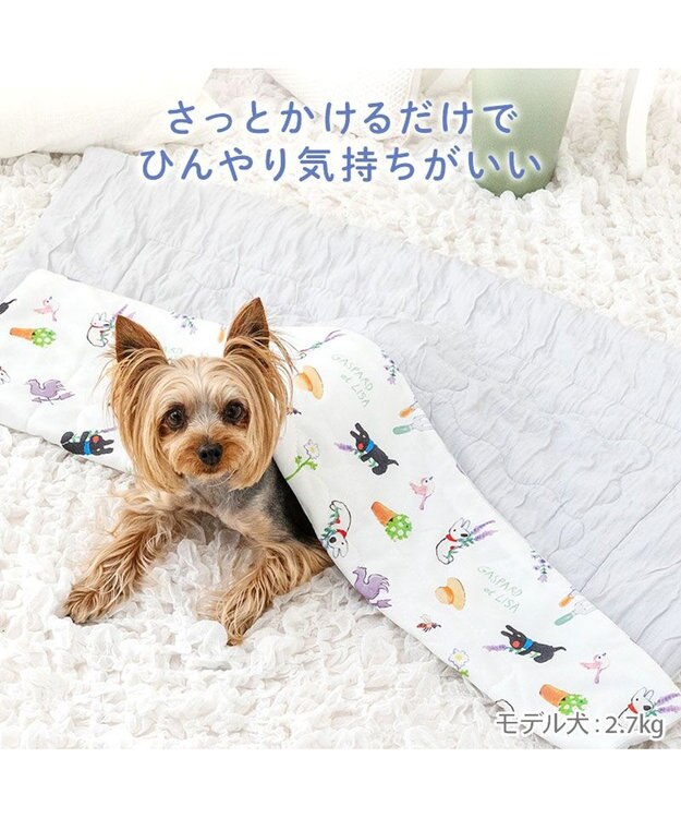 PET PARADISE リサとガスパール もちっと クール ブランケット ホワイト