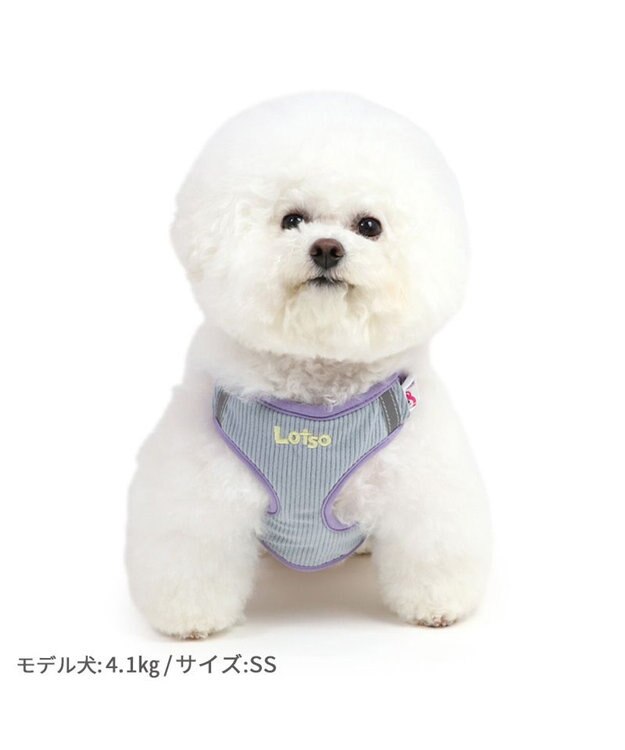 PET PARADISE ディズニー トイ・ストーリー ロッツォ マスコット付き ハーネス ＳＳ 小型犬 -