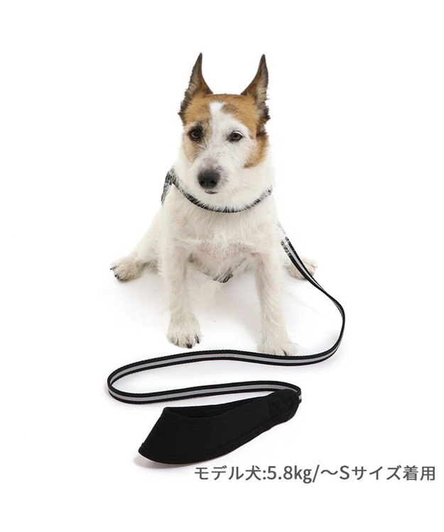 PET PARADISE 両面反射リード ブラック 120cm【ＳＳ~Ｓ】 黒