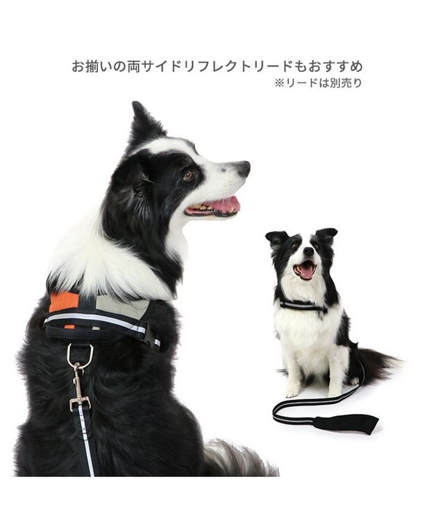 PET PARADISE ヘッドインハーネス 【Ｌ】 オレンジ / ブルー  【大型犬】 オレンジ×グレー