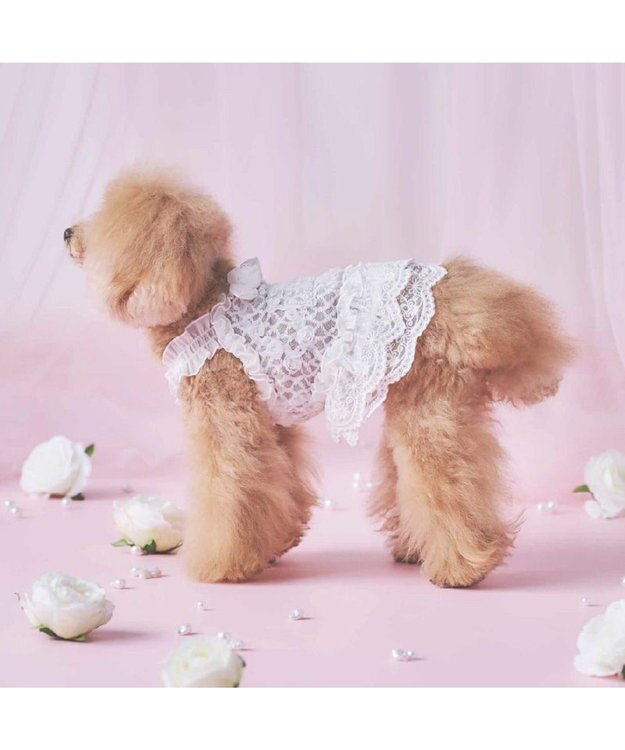 PET PARADISE cherircouture 総レース キャミソール 小型犬 ホワイト