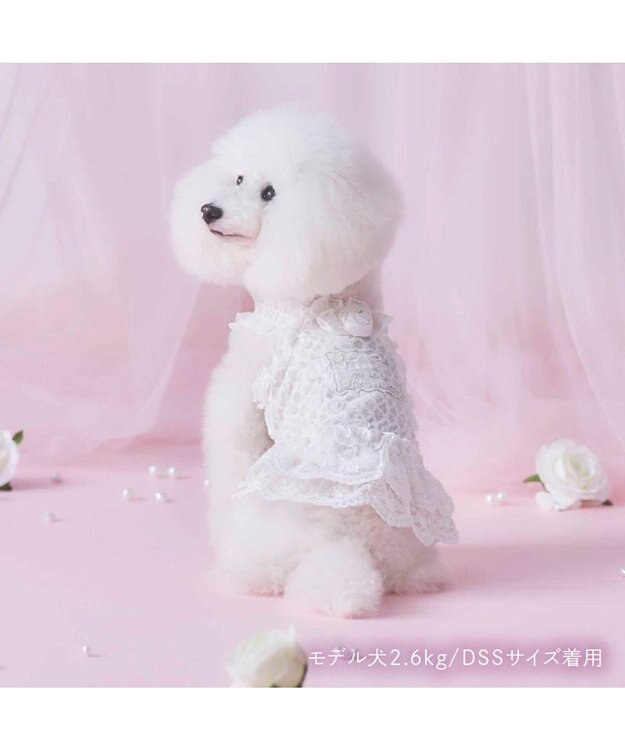PET PARADISE cherircouture 総レース キャミソール 小型犬 ホワイト