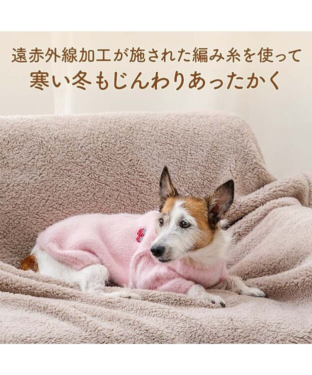 PET PARADISE ペットパラダイス ぬくふわニット 《苺》 小型犬 ピンク
